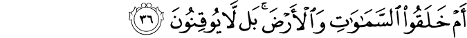 52_36-1.png