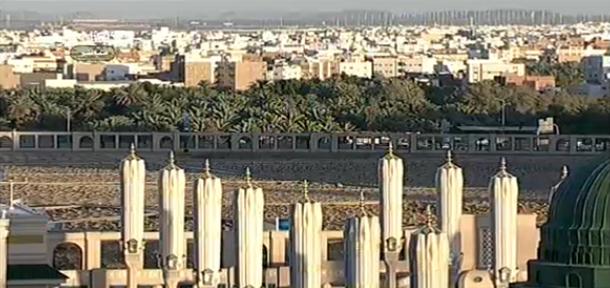 baqeepalm1_zpsc785d79a-1.jpg