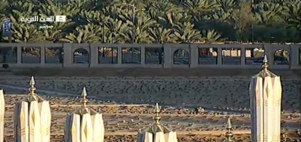baqeepalm_zpsd801626d-1.jpg
