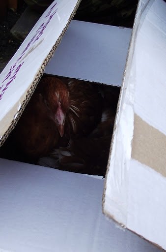 1302010002-1.jpg