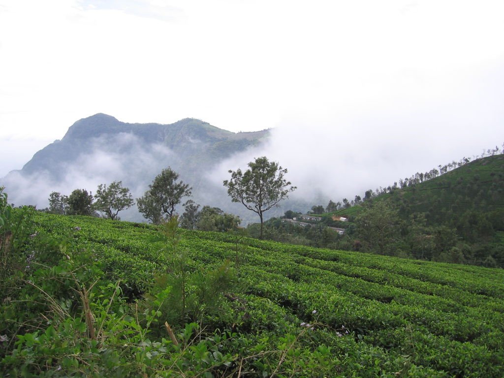 Ooty_tourism_climateJPG-1.jpg