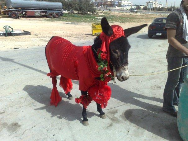donkeyvalentines-1.jpg