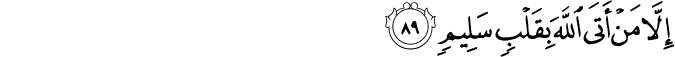 26_89-1.png