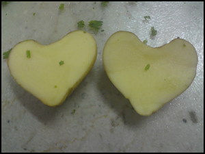 DSC00009-1.png