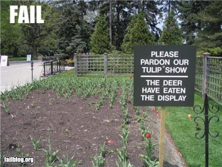 epicfailtulipgarden-1.jpg