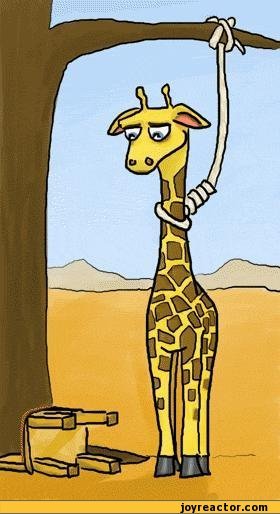 funnypicturesautoD0B1giraffesuicidehangi-1.jpeg