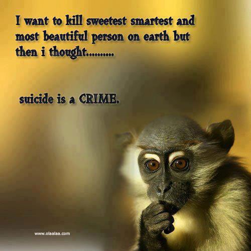 funnyquotesthoughtsbeautifulcrimesweetsm-1.jpg