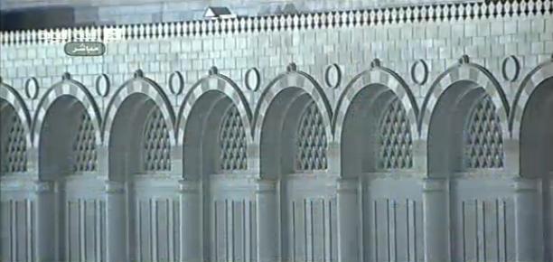 madarches2_zps0f9431c3-1.jpg