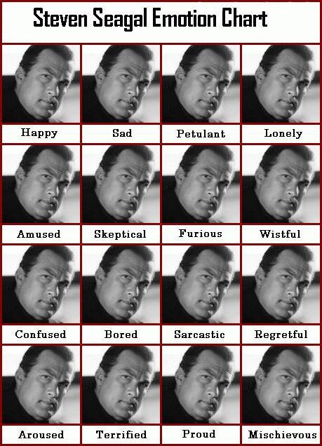 stevenseagalemotionchart-1.jpg