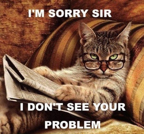 cat_memes_23500x465-1.jpg