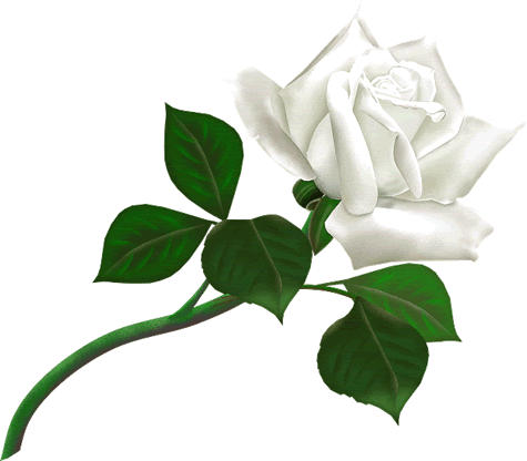 flower_006-1.gif