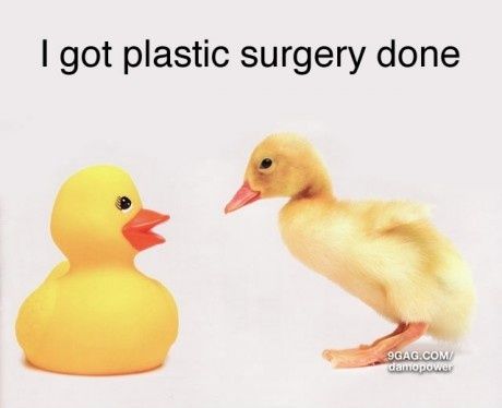 justducksfunnypicture18940-1.jpg