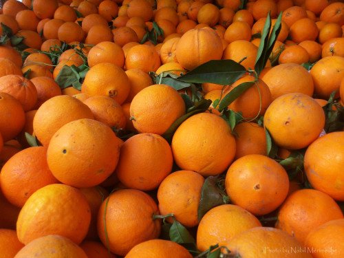 orangefruitalgerie-1.jpg