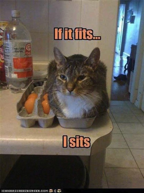 tumblr_lwhj768Jai1r2w9hxo1_500-1.jpg
