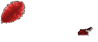 2rwkavn-1.gif