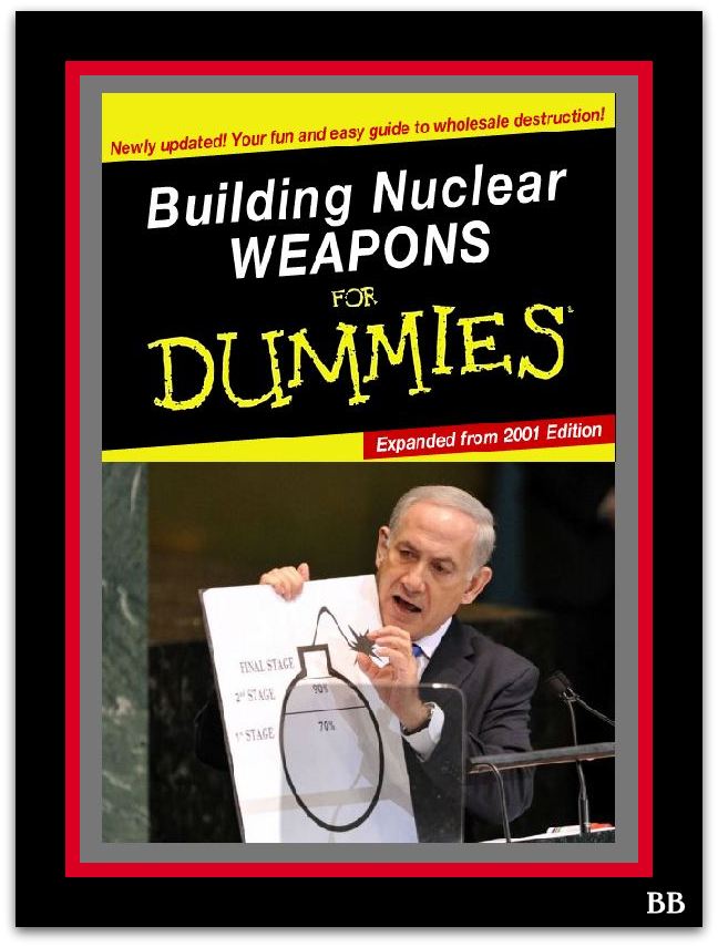Capturenukes4dummiesbibi-1.jpg