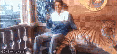 tumblr_mh5io67qXW1r6yzzjo1_500-1.gif