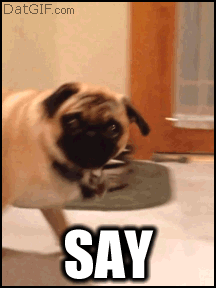 tumblr_mh7mjg4Xvr1r6yzzjo1_250-1.gif