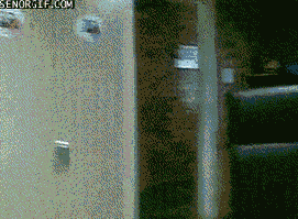 a3YY0eQ_460sa-1.gif