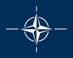 imagesqtbnANd9GcQqvdgRdunIus5K bAVmXImmN 1 - NATO to send expert mission to libya