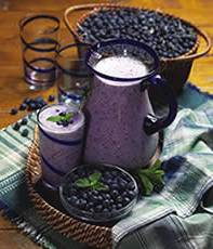 Blueberry_Soy_Shake-1.jpg