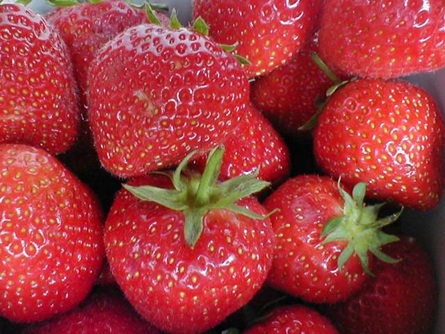 01Strawberries-1.jpg
