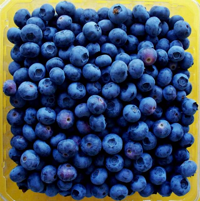 06Blueberries-1.jpg
