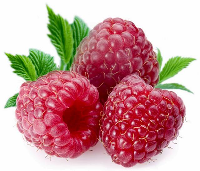 10Raspberries-1.jpg