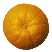 foodsorange-1.jpg