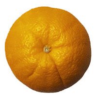 foodsorange 1 - Foods that fight aging