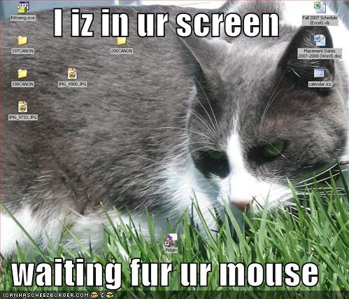 funnypicturescatscreenmouse-1.jpg