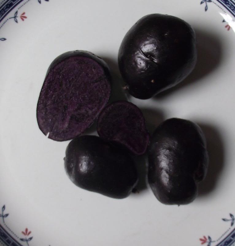 purplepotatoes88_zpse517f3e7-1.jpg