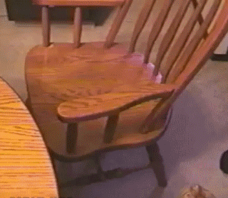 tumblr_mrl3oqapm51stgrfzo1_400-1.gif