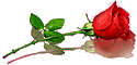 739823-1.gif