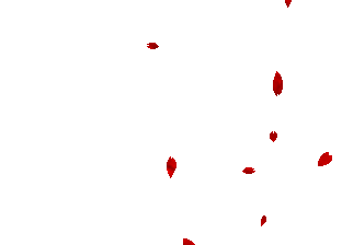 Petals-1.gif