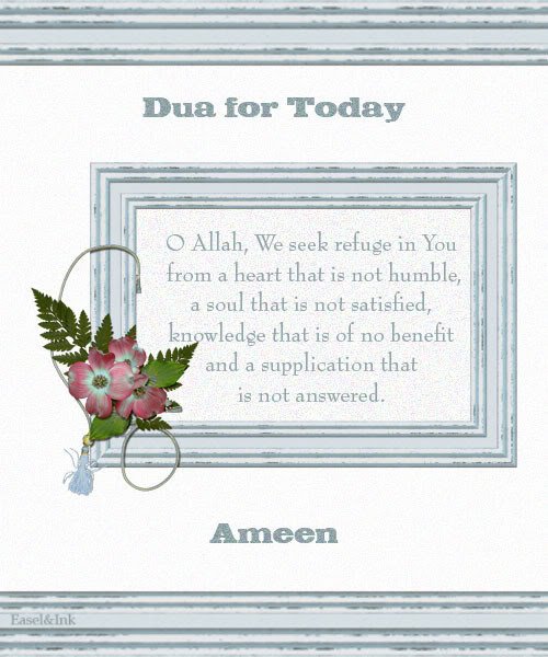 dua294-2.jpg