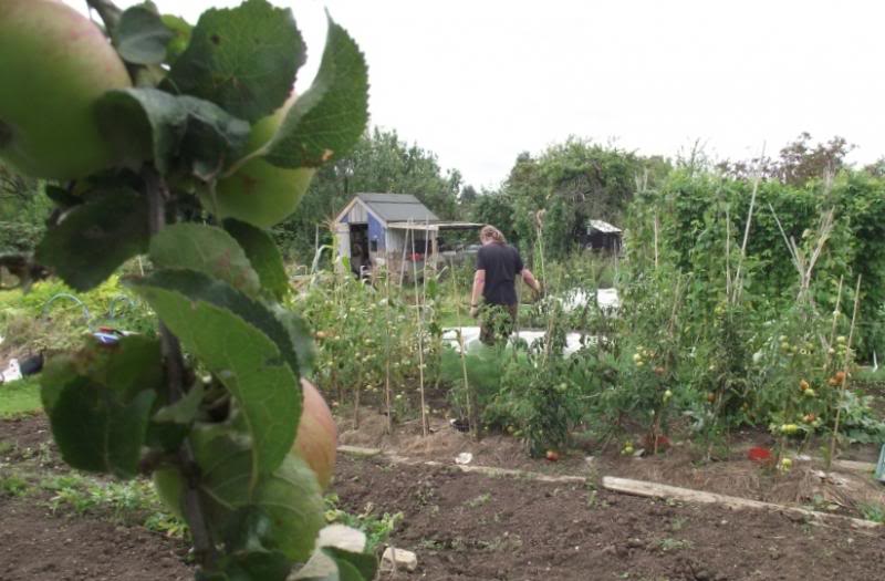 plot1_zpsf556761f-1.jpg
