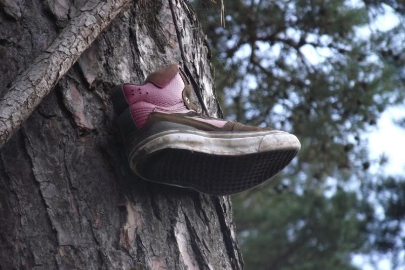 shoe_zps81c44916-1.jpg