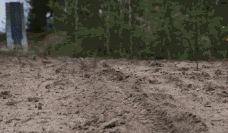 aG9gKg6_460sa-1.gif