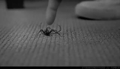 tumblr_mv0iou6Bnc1rs259ro1_400-1.gif