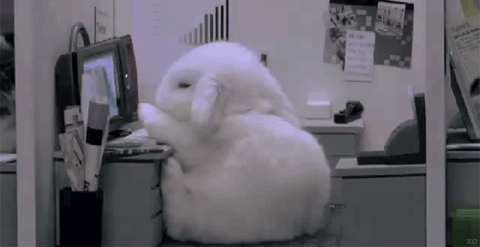 bunnyrabbitfallingdowntiredsleepingcutea-1.gif