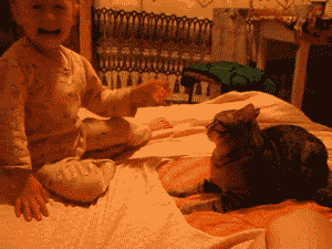 tumblr_mgjbs2lnfE1s2gg27o1_400-1.gif