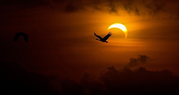 eclipse620x330-1.jpg