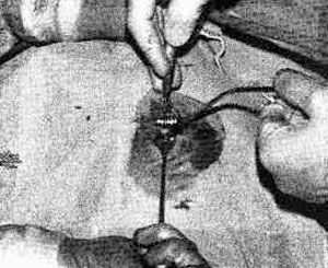 mindcon29_03-1.jpg