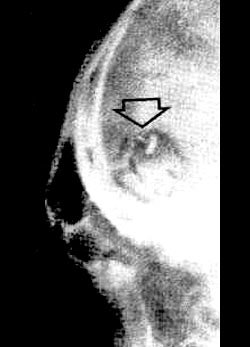 mindcon29_05-1.jpg