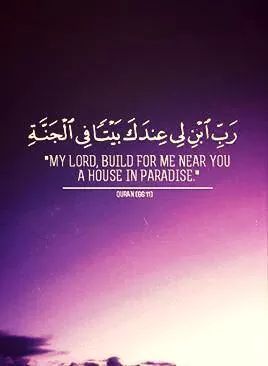 wpidimg 4281260364646 1 - What do houses look like in Jannah?