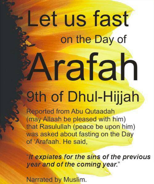 CPhrJJyWoAAfZ4P 1 - Recommended schedule for the day of Arafah