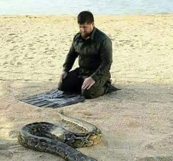 pwfYX60 1 - harmful snake while praying