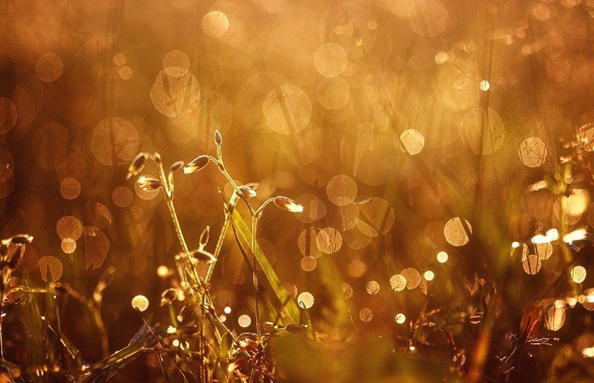 tumblr_nx6yrlK7fp1ugzjnro1_1280-1.jpg