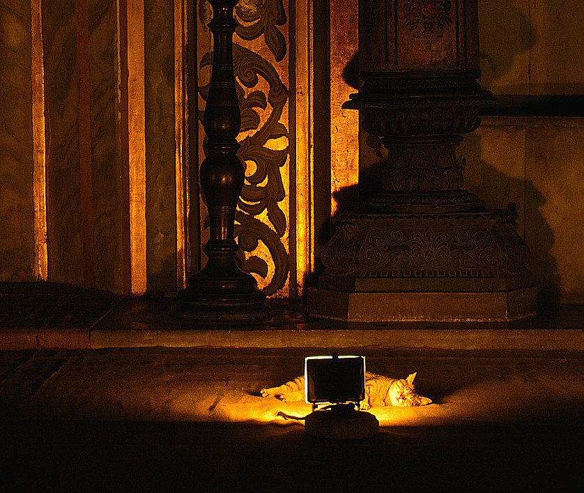 tumblr_nyzqeul05H1ugzjnro1_1280-1.jpg